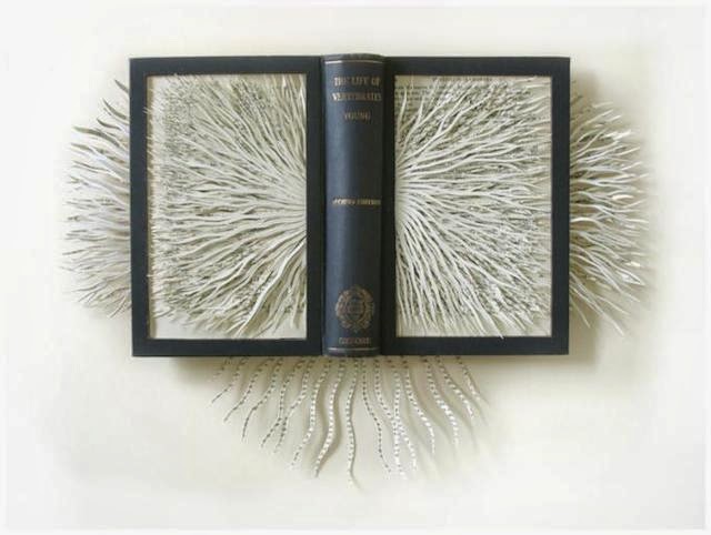 Barbara Wildenboer esculturas papel y libros